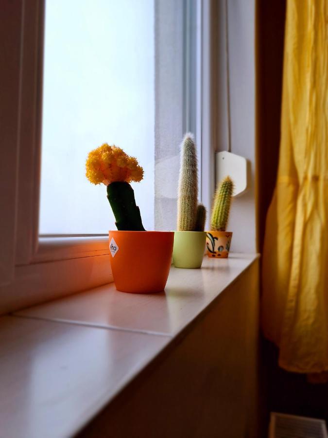 Cozy Apartment Arad Exterior photo